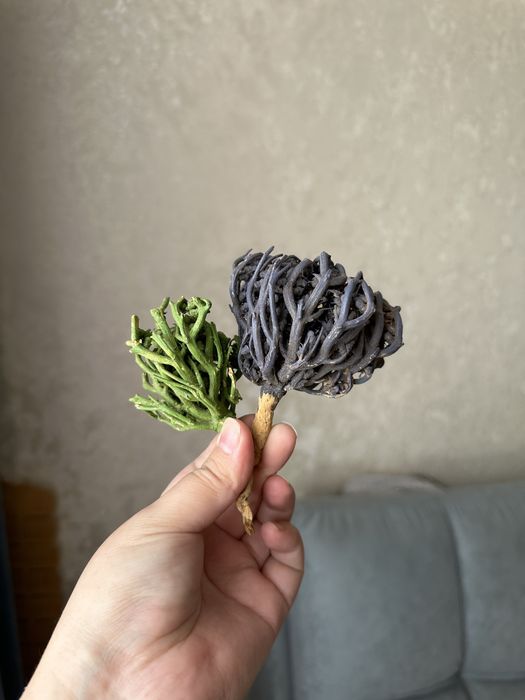 Мелочи для дома