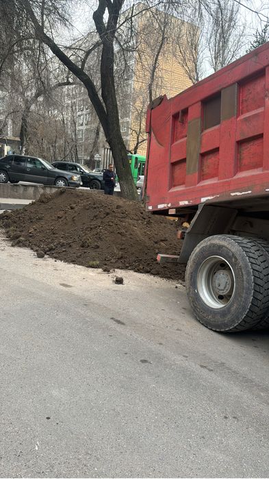 Лучший чернозем здесь