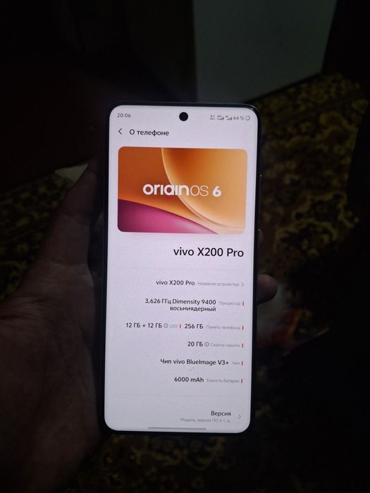 Vivo x200pro china version
