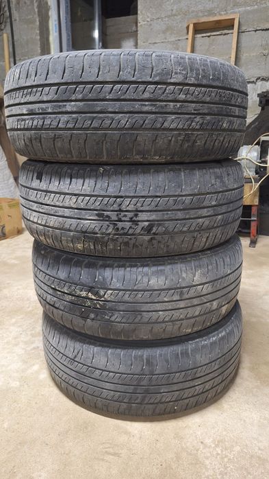 Triangle letni shina