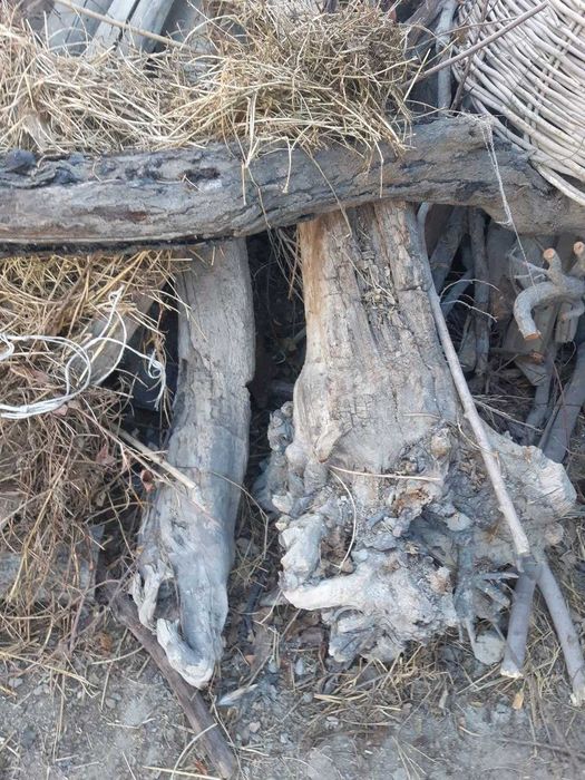 kelishilgan narxda o'tin sotiladi