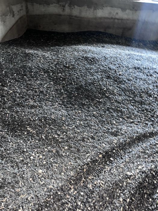 Vand floarea soarelui