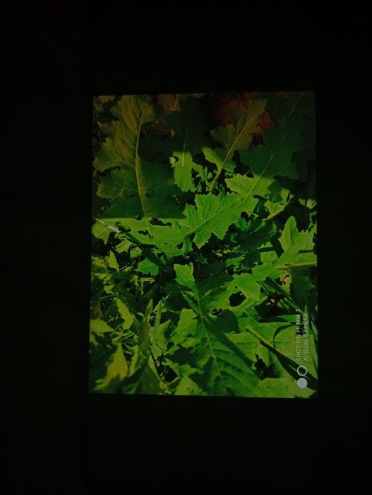 Xiaomi mi mix 3 камера фон 2018