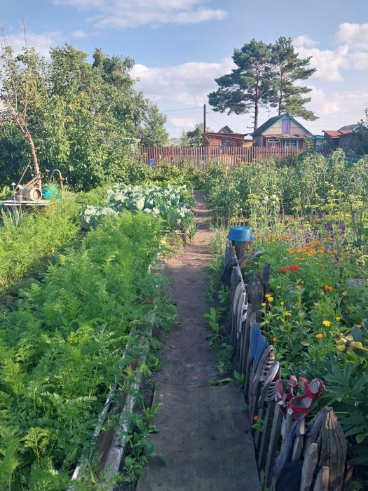 Продам дачу с.о гудок 4.2 Сотки