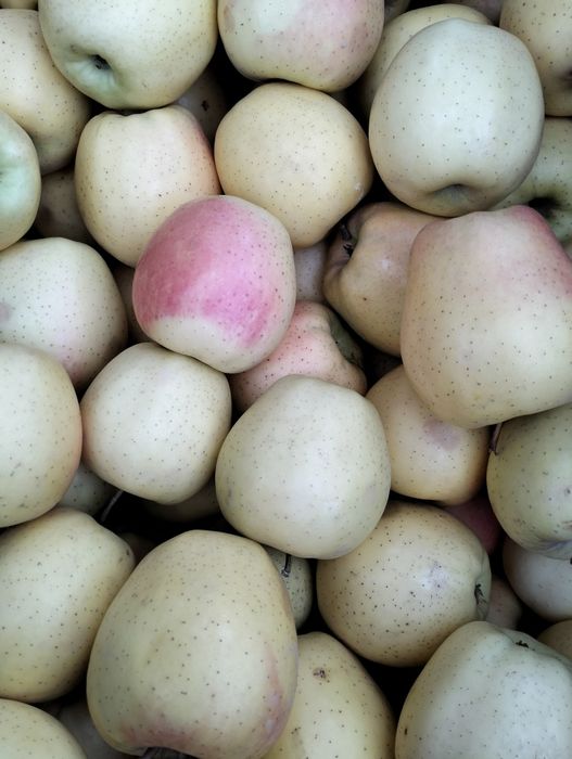 Salom siz qidirayotgan kuchatlar dastafka bor