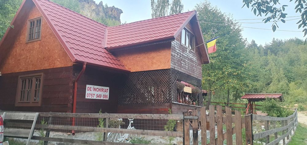 Cabană sau casă de vânzare...