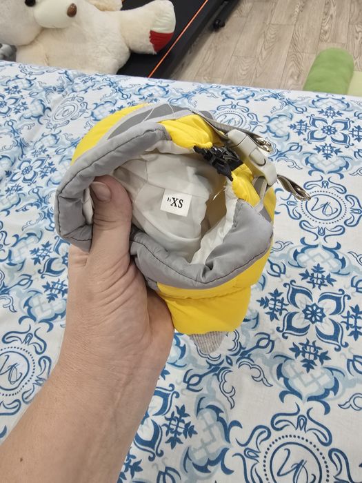 Одежда для собачки