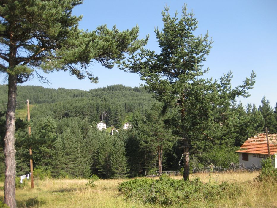 Вила с. Ситово 35 000€