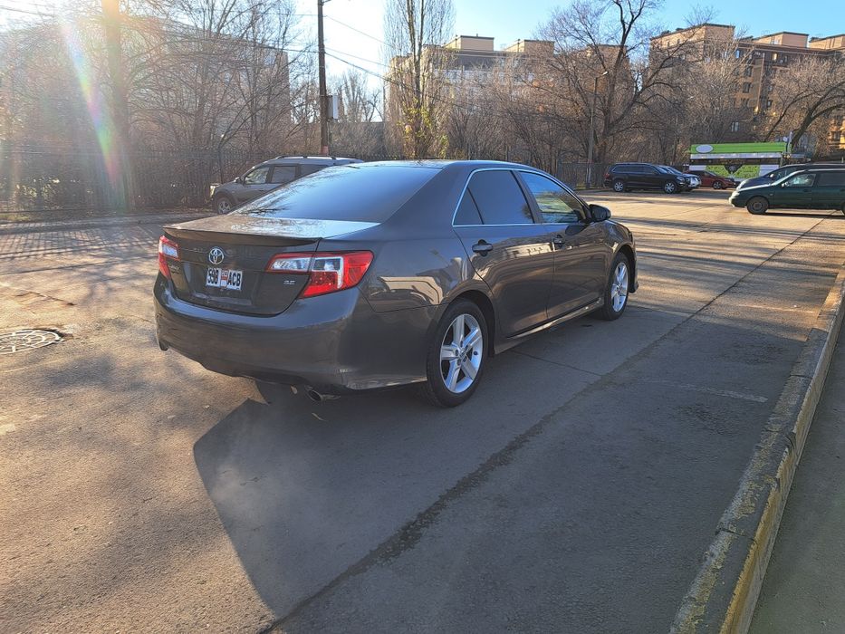 Перевозка пассажиров