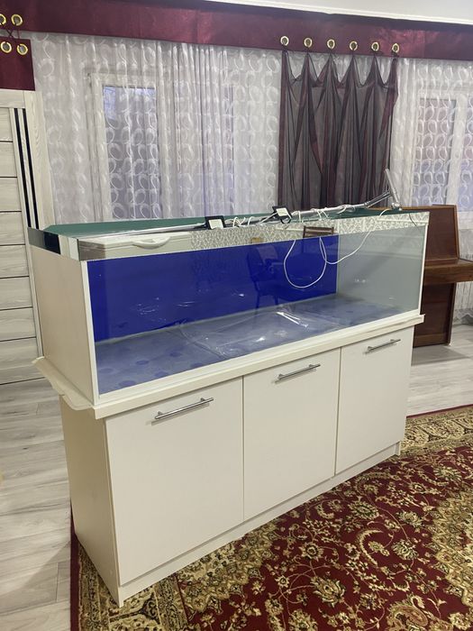 Аквариум хорошем состояние