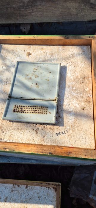 Lazi stupi 12 rame cu grosime 2,5cm