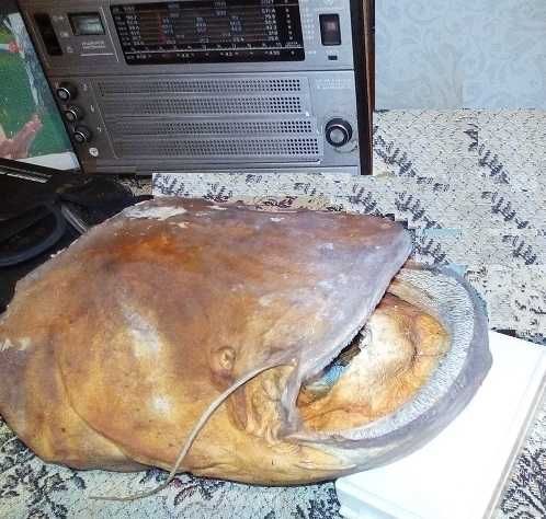 Рыболовные снасти и амуниция.