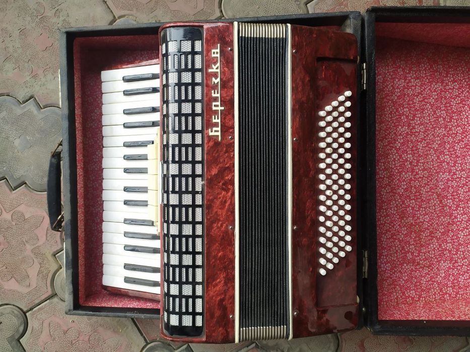 аккардион Берёзка