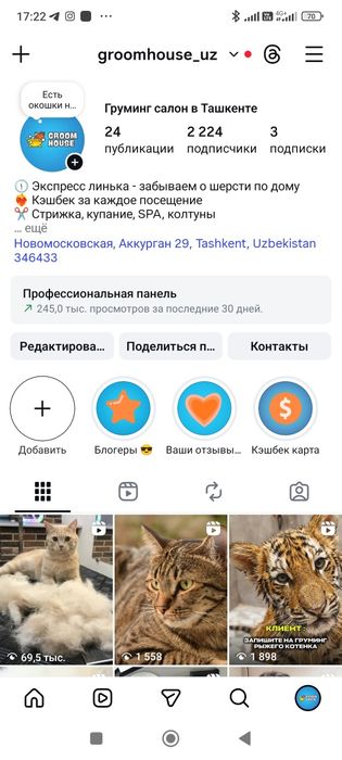 Стрижка и купание ваших питомцев в салоне