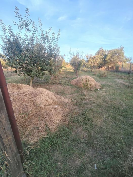 Casa de vanzare in sat Suceagu, Jud Cluj, persoana fizica