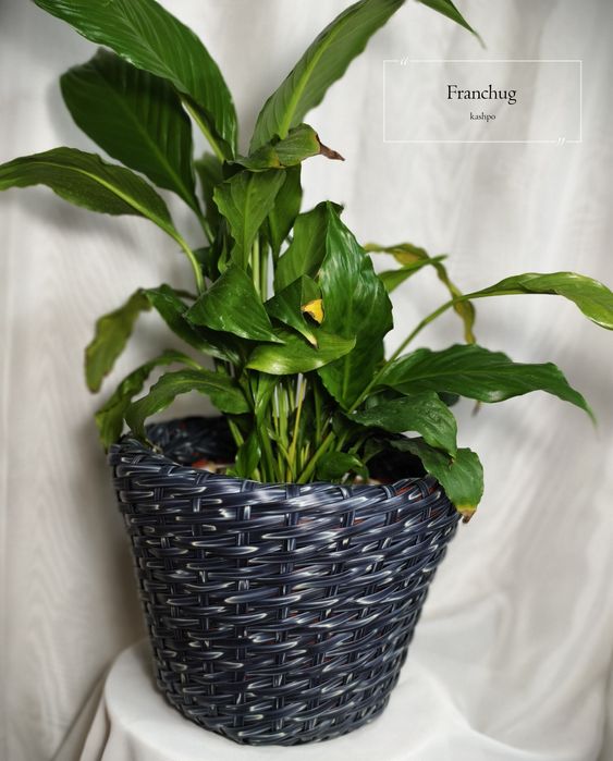 Кашпо ручной работы