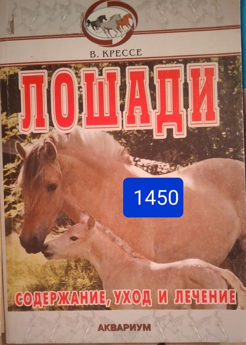 Лошади.Коза.Свиноферма,попугай