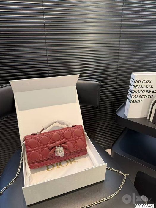 Dior Lyuks A Kopiya sumka