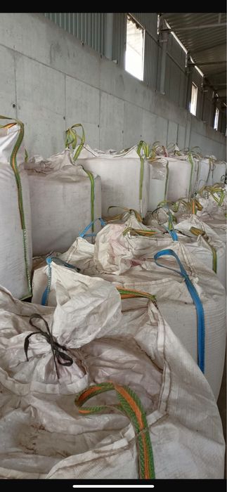 Vand mazare de primavara Audit selectata .