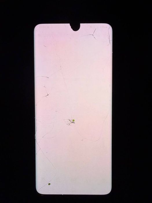 Samsung S21 Ultra рабочем состоянии.