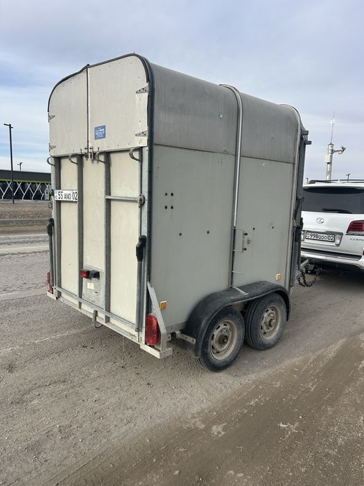 Коневозка немецкая