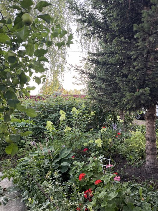 Продам дачу оз. Пестрое