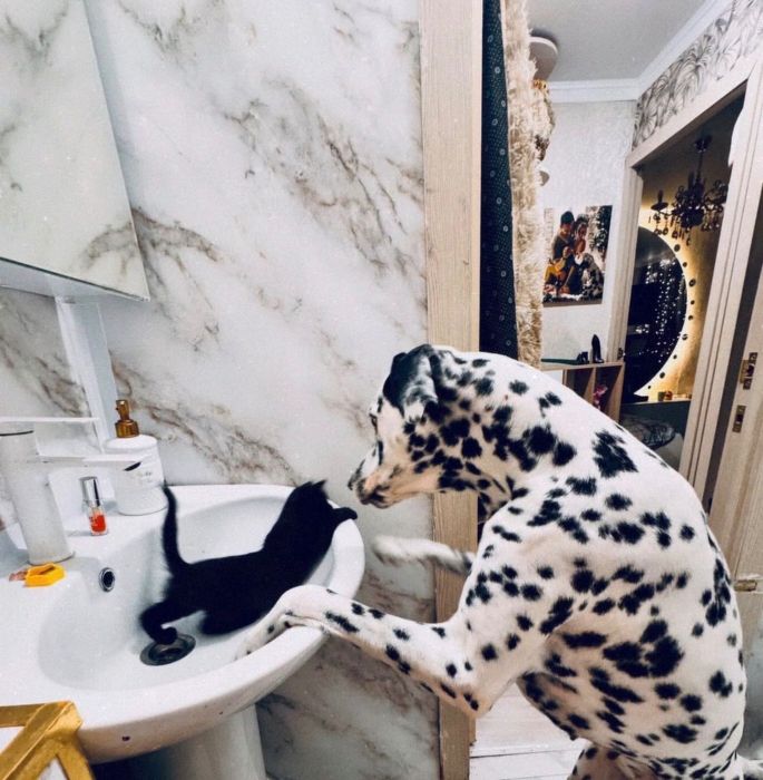 Продам раковину пьедестал