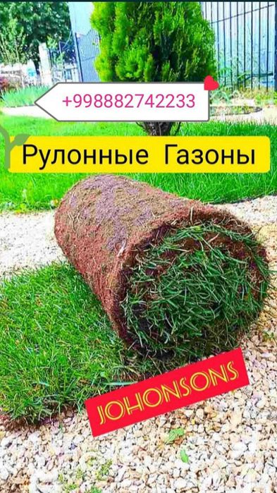 Рулонный газон по супер цене.