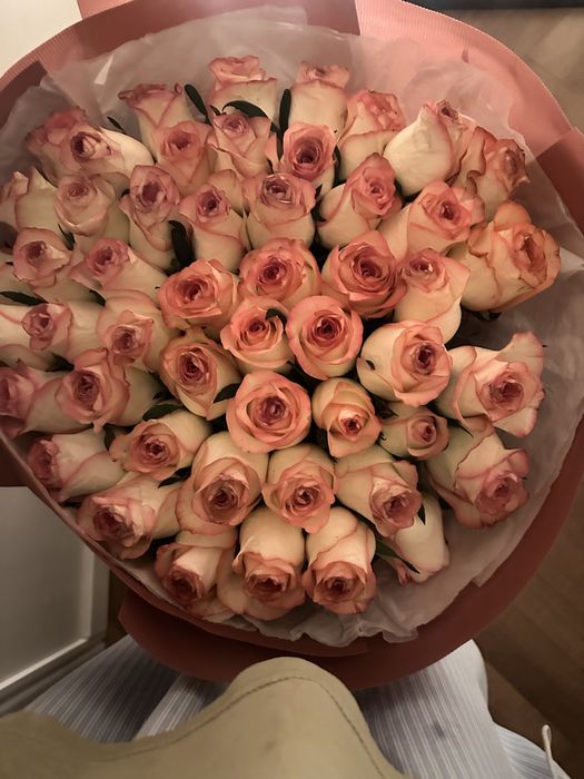 51 шт голландские розы