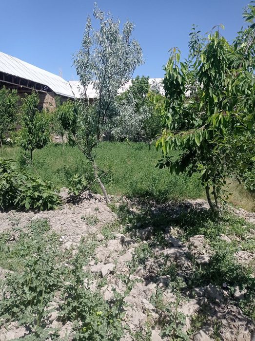 Barcha sharoitlarga ega xovli