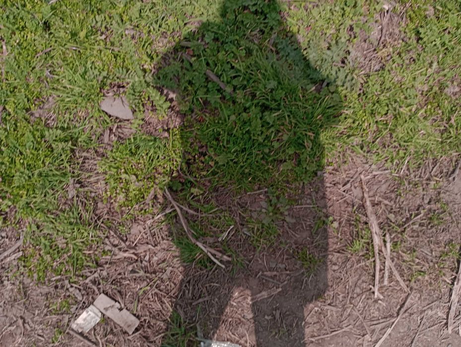 Продава се Парцел в с. Рудник, Област Бургас - 850 кв.м за 24 €/кв.м - Снимка #1