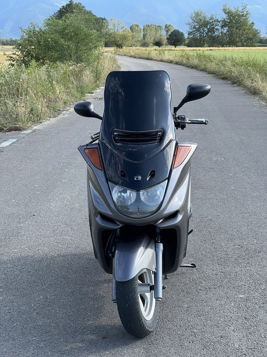 Yamaha majesty 250 cmc