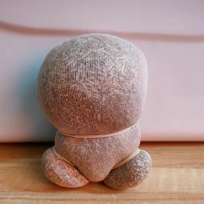 Травянчики, растущая игрушка