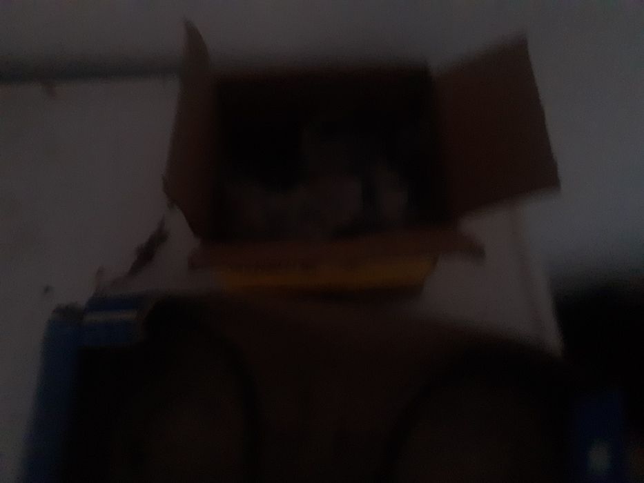 urgent Pompa apa+curea distribuție Fiat Punto 2007