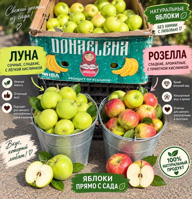 Продам яблоки вкусные алматинские