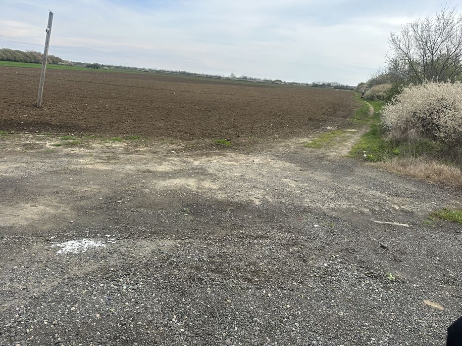 Vand teren zona industriala Sag