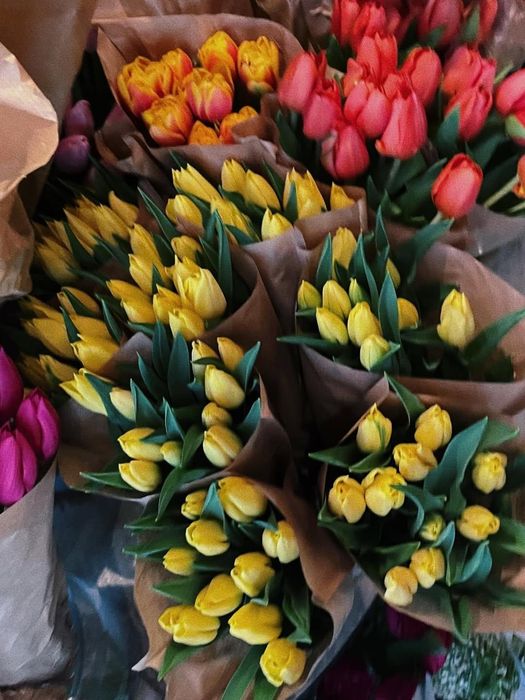 Свежие тюльпаны по выгодной цене