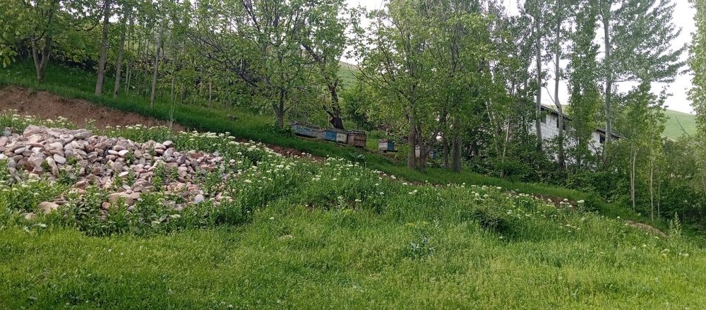 Ер участка сотилади