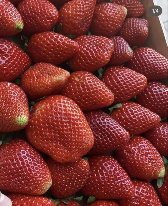 Клубника 5кг-4800о