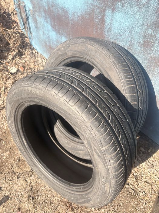 Продам 2балона кардиант