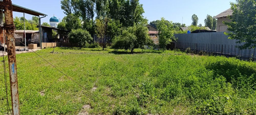 Yangiyoʻl tumanida 5 soʻtix yer maydoni