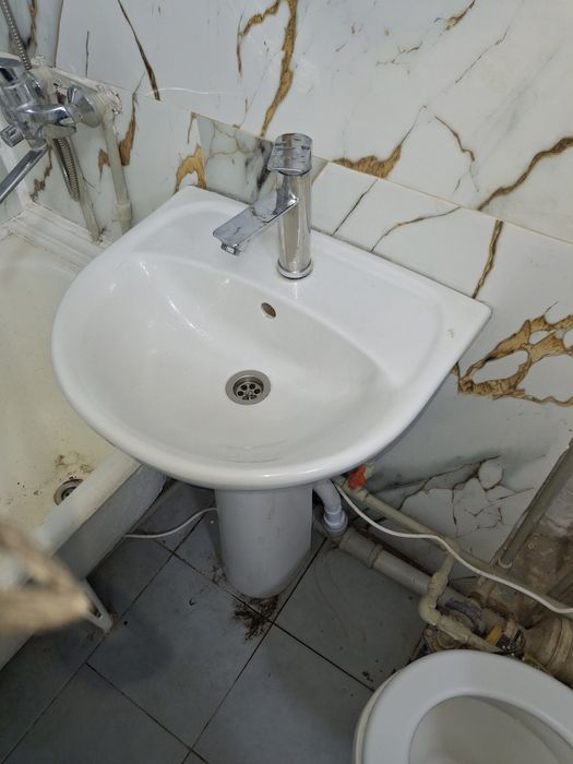 Раковина тюльпан