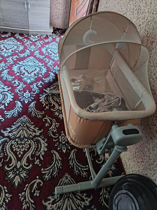 Tokli belanchak bir marta yotgan holos