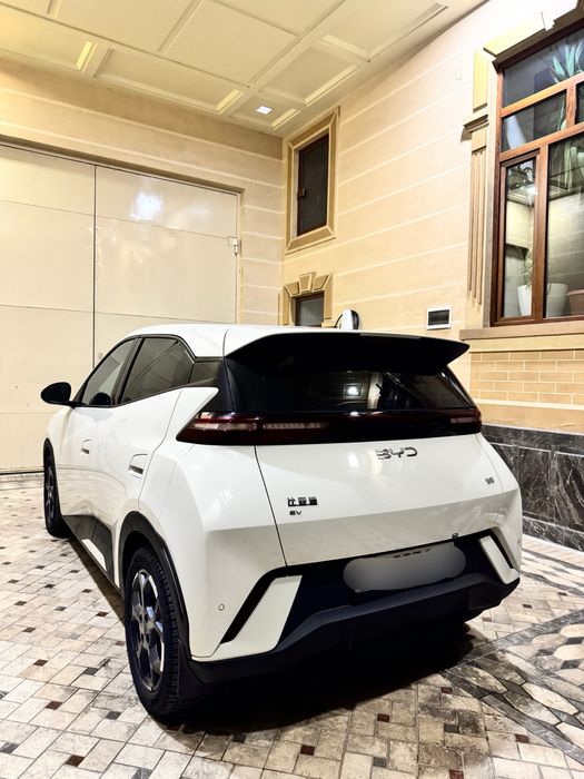 BYD Seagul 2025 Restayling