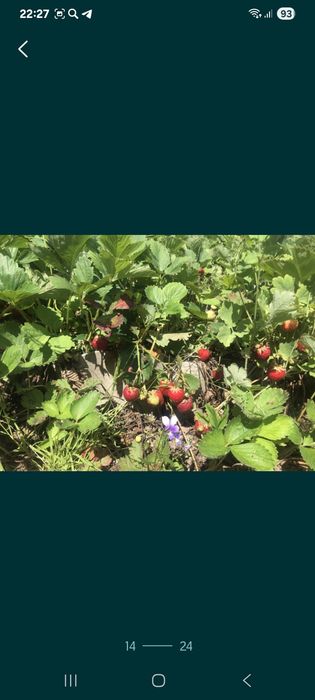 Продам дачу в хорошем районе