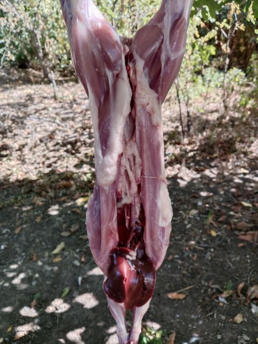 Мясо кролика 
Всегда свежее мясо. 
Очень вкусный и нежный 
3000 т за к