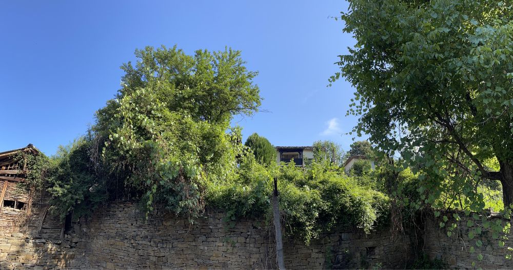 Косене, чистене, извозване, изграждане, поддръжка на дворове и градини