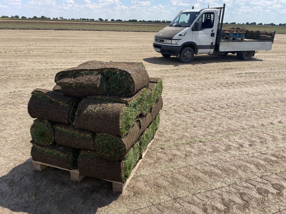 Rulouri de gazon in Bucuresti si imprejurimi