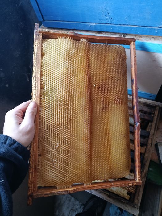 Сушь и рамки для пчел
