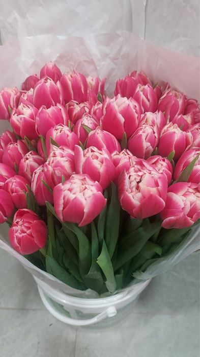 Тюльпаны с доставкой